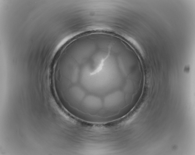 X0000091500983200709061919