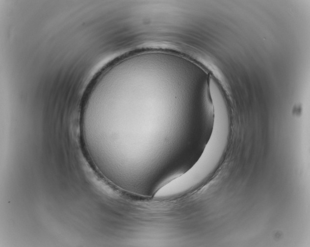 X0000091500984200709061919