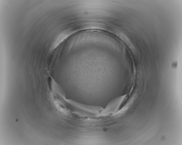 X0000091500985200709061919