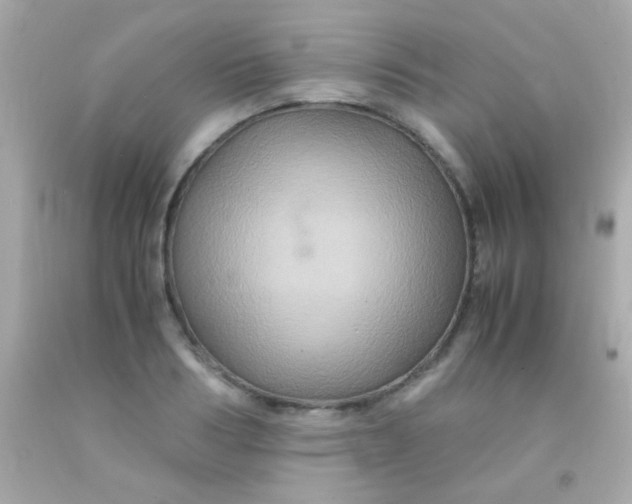 X0000091500986200709061919