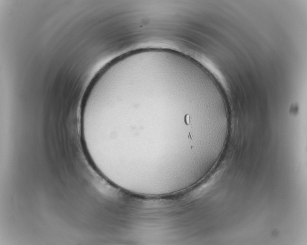 X0000091500988200709061919