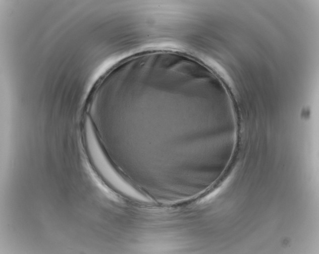 X0000091500989200709061919