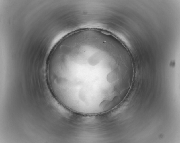 X0000091500990200709061919