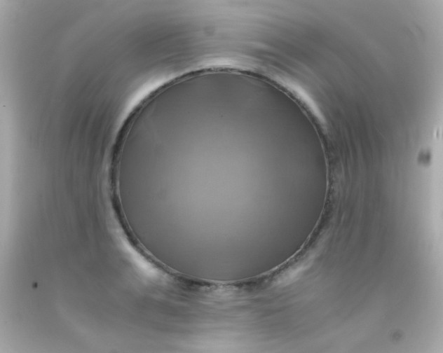 X0000091500991200709061919