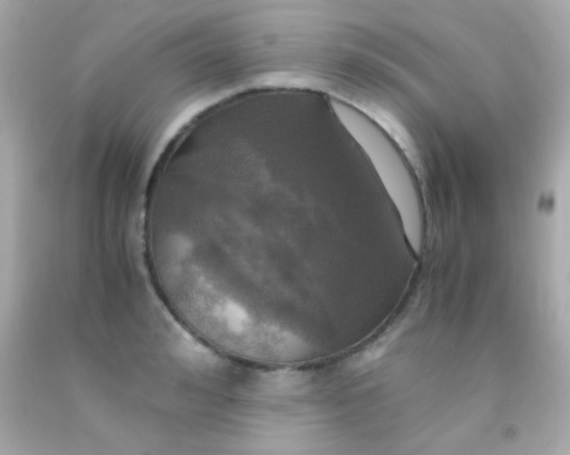 X0000091500992200709061918