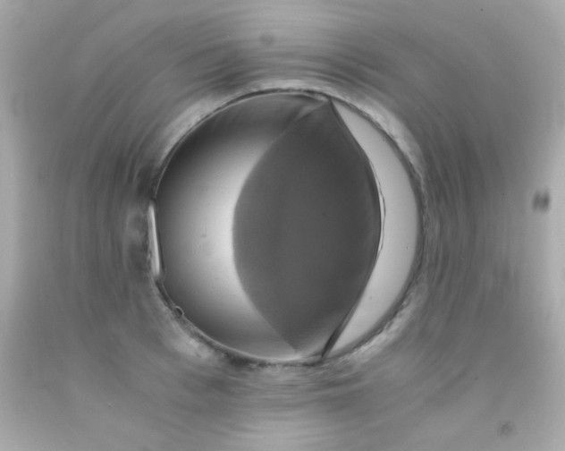 X0000091500993200709061918