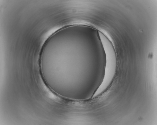 X0000091500995200709061918