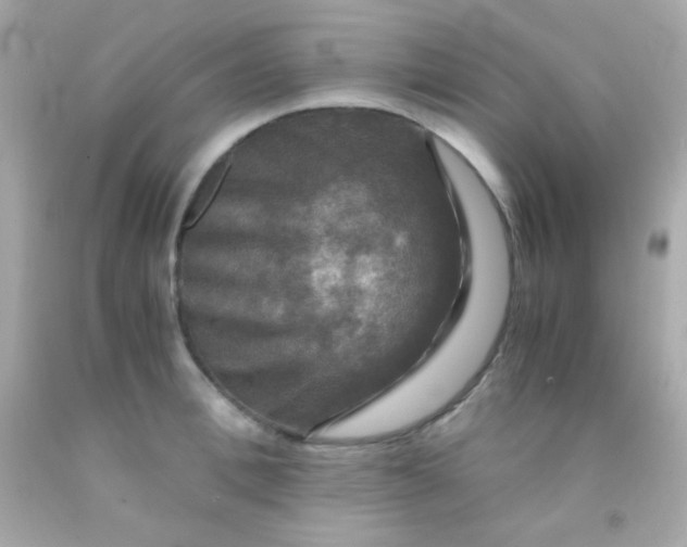 X0000091500996200709061918