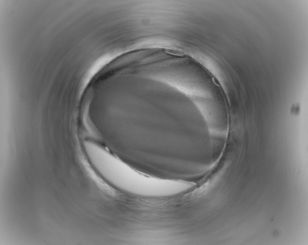 X0000091500997200709061918