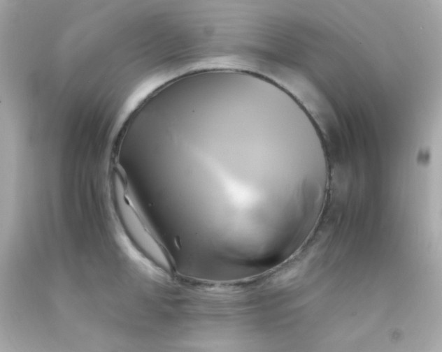 X0000091500998200709061918