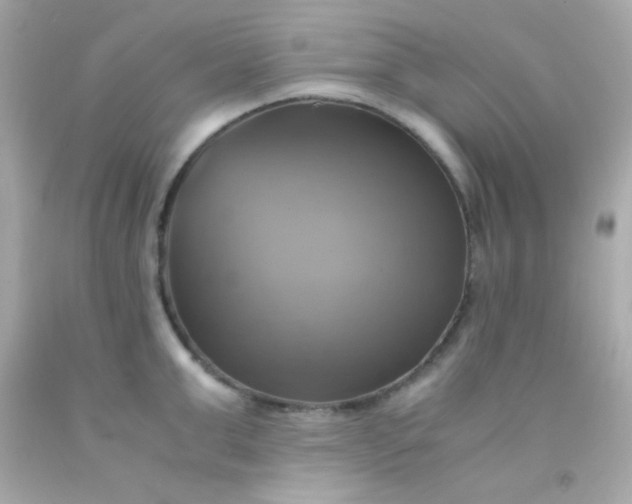 X0000091500999200709061918