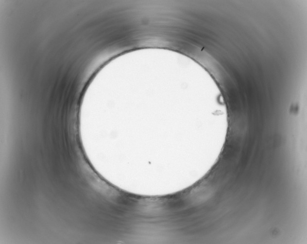 X0000091501000200709061918