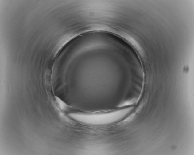 X0000091501001200709061918