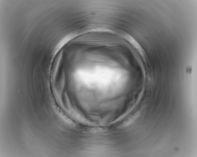 X0000091501002200709061918