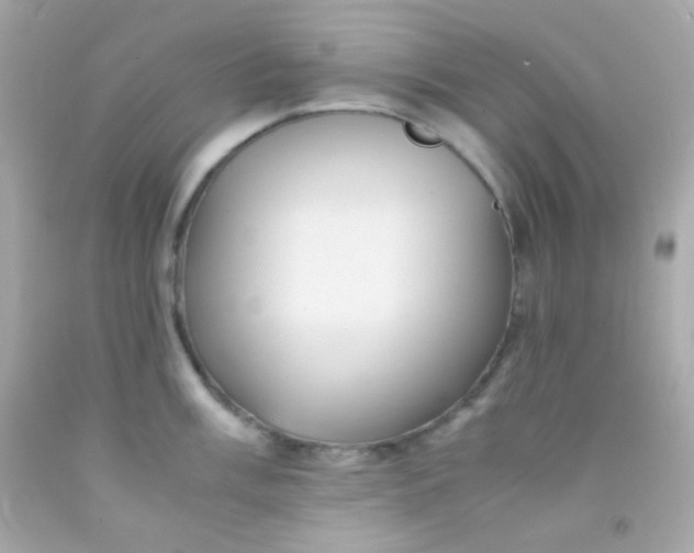 X0000091501003200709061918