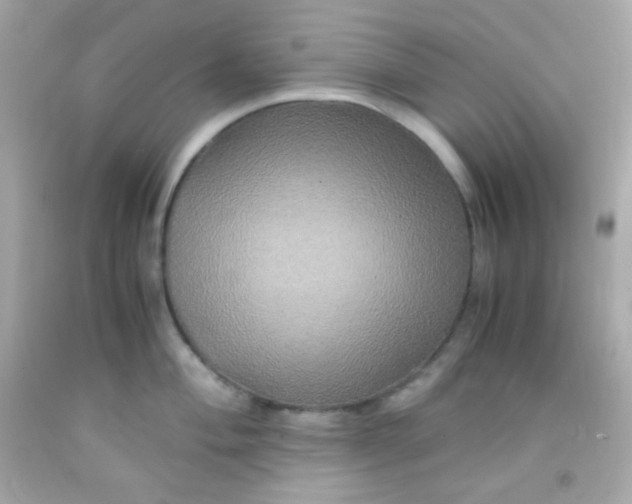 X0000091501004200709061918