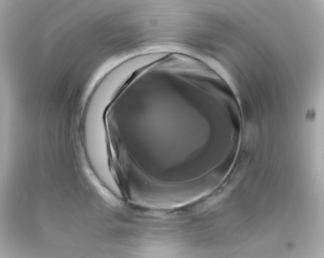 X0000091501005200709061918