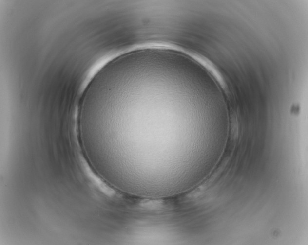 X0000091501006200709061918