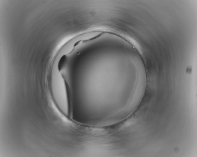 X0000091501007200709061918