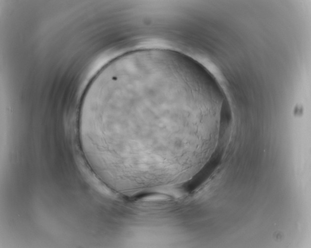 X0000091501008200709061918