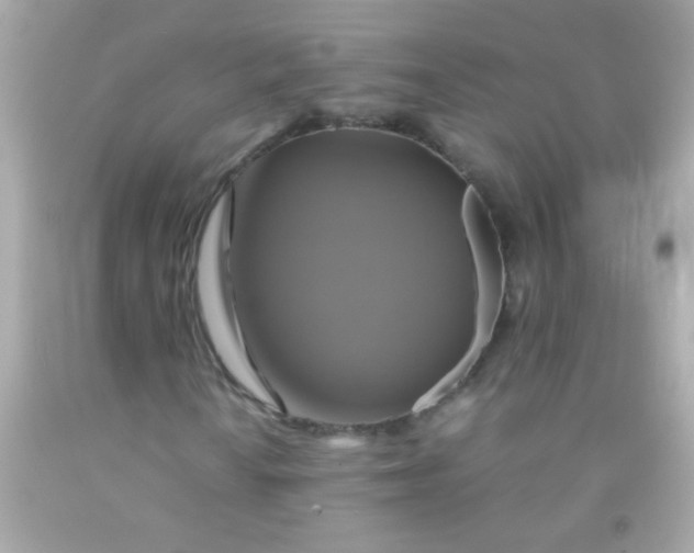 X0000091501010200709061918