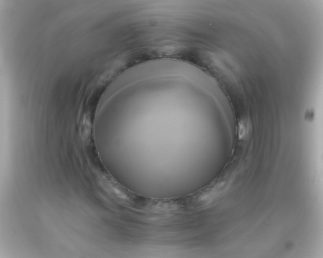 X0000091501011200709061918