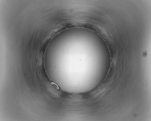 X0000091501012200709061918