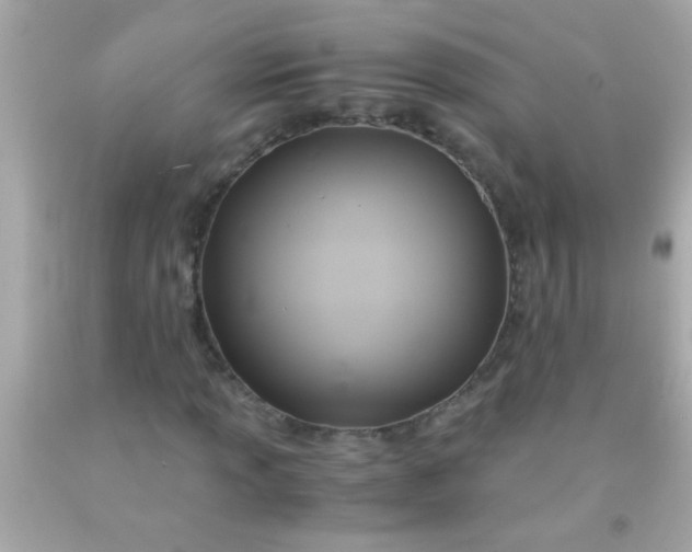 X0000091501013200709061918