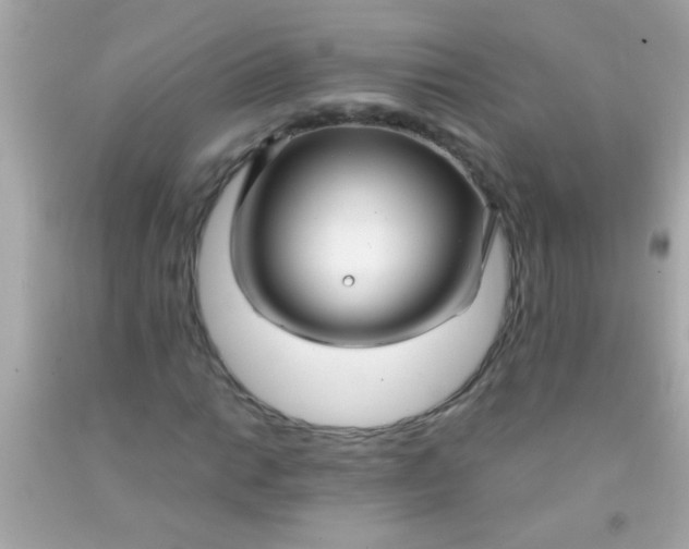 X0000091501014200709061918