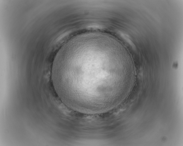 X0000091501015200709061918