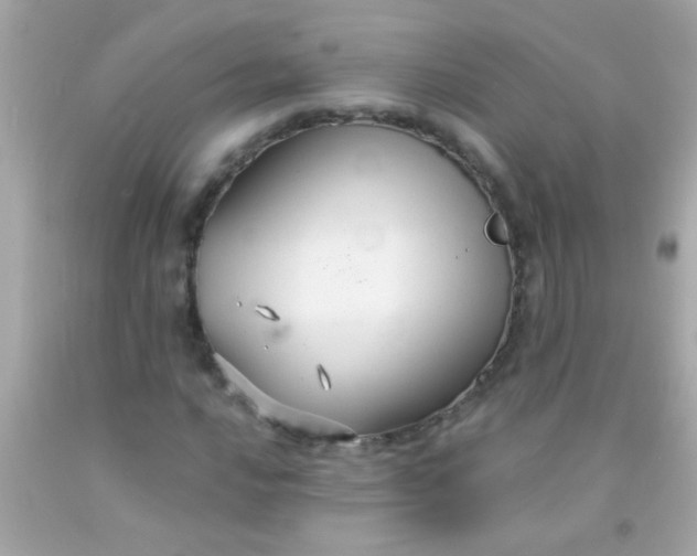 X0000091501016200709061918