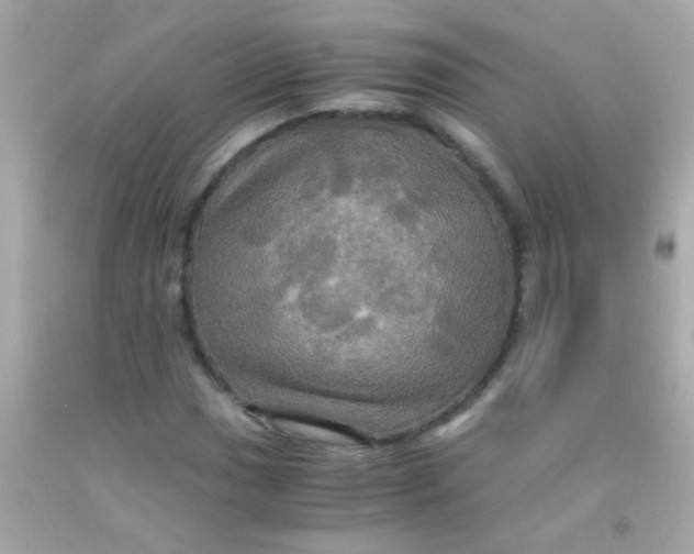 X0000091501017200709061918