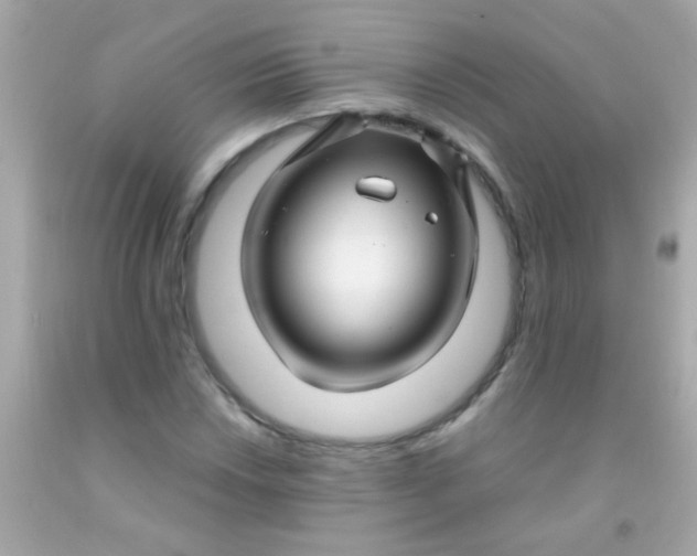 X0000091501018200709061918