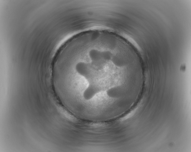 X0000091501021200709061918