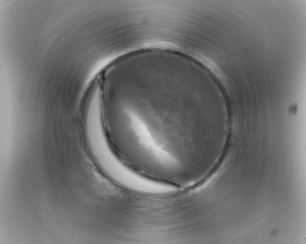 X0000091501022200709061918