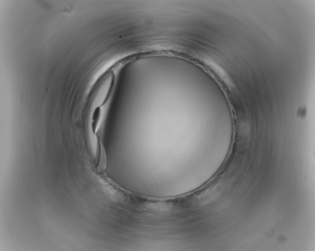 X0000091501023200709061918