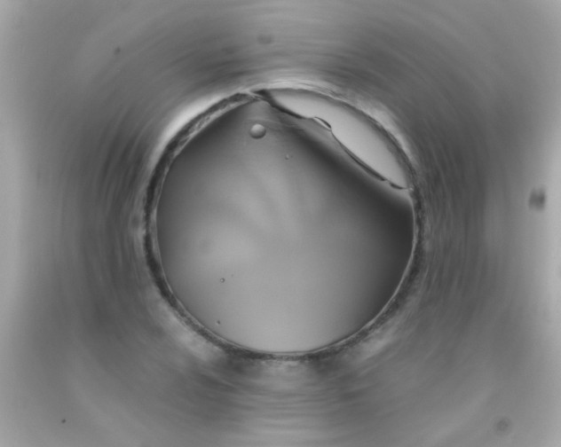 X0000091501024200709061918