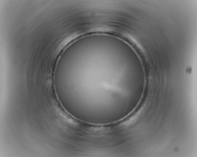 X0000091501025200709061918