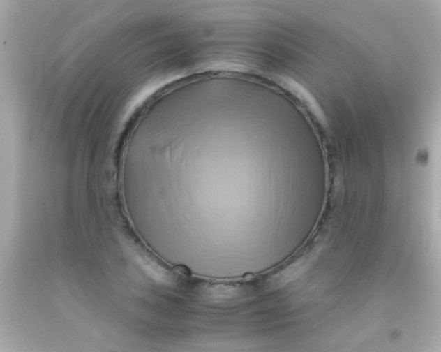 X0000091501027200709061918