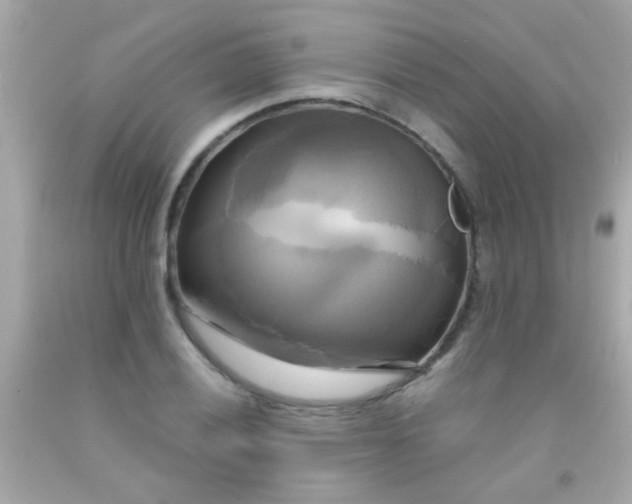 X0000091501028200709061918