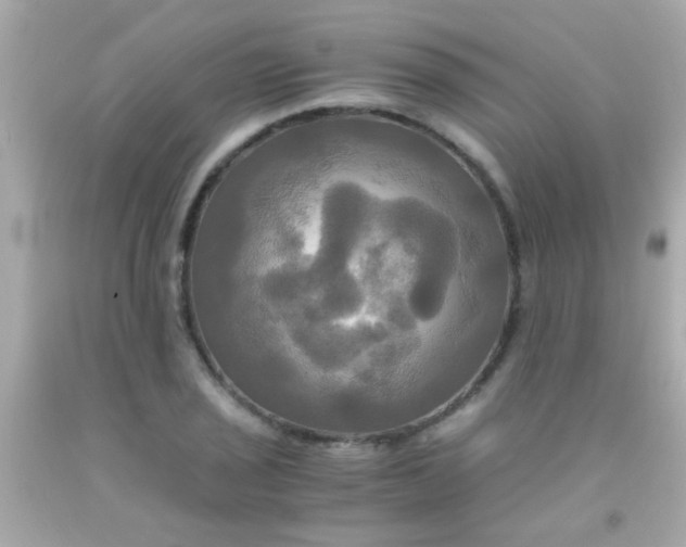 X0000091501029200709061918