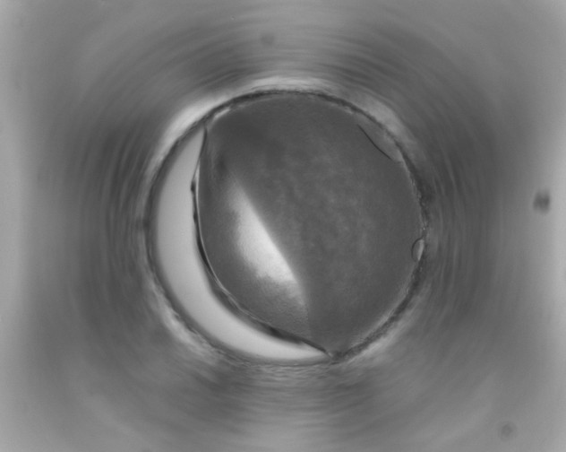 X0000091501030200709061918