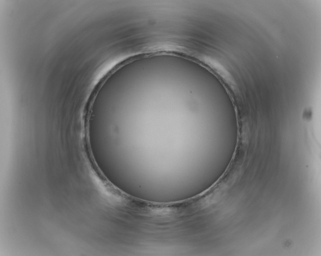 X0000091501031200709061918