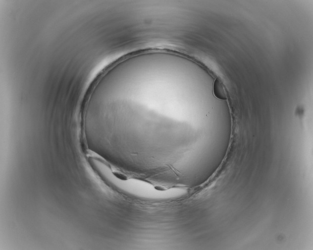 X0000091501032200709061918