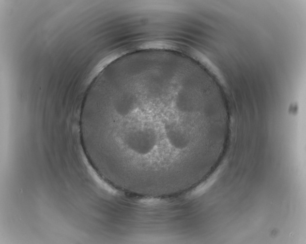 X0000091501033200709061918