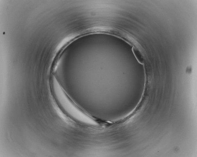 X0000091501034200709061918