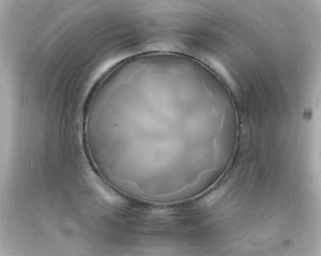 X0000091501035200709061918