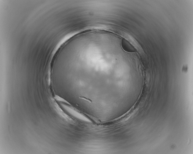 X0000091501036200709061918