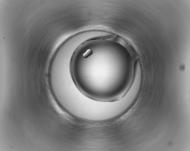 X0000091501038200709061918