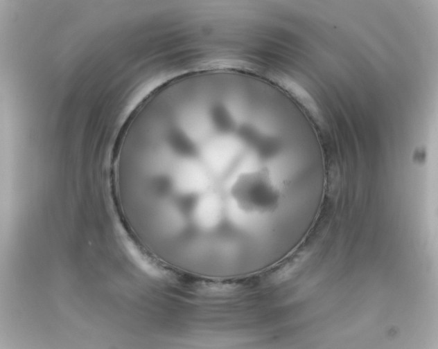 X0000091501039200709061918